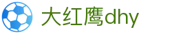 大红鹰dhy(中国)有限公司官网